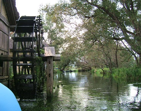 Wasabi Farm River from the Boat